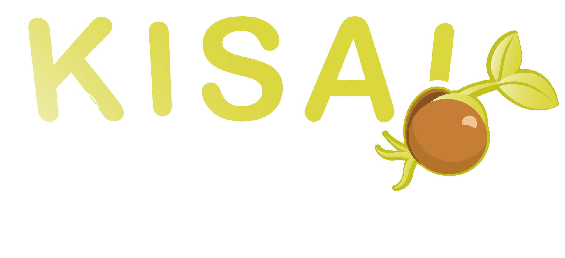 Kisai Logo